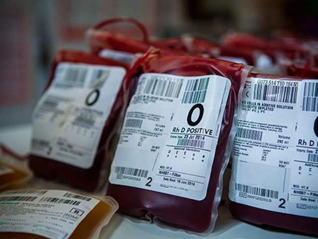Regulus Global Blood Transfusion Set